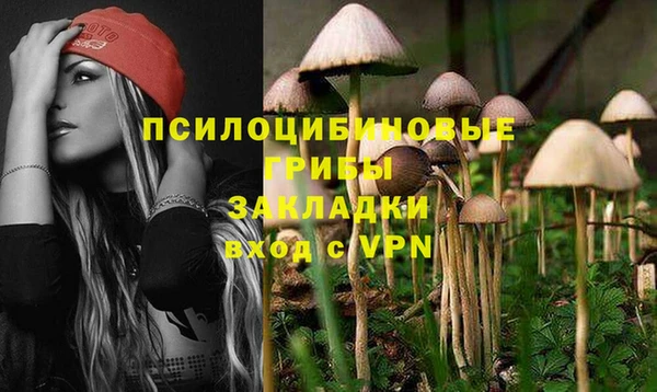 метадон Медногорск
