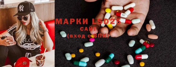 ГАЛЛЮЦИНОГЕННЫЕ ГРИБЫ Медвежьегорск