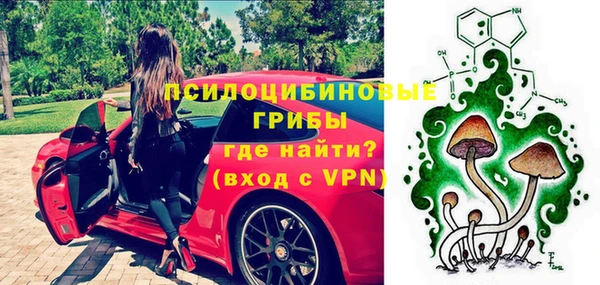 ГАЛЛЮЦИНОГЕННЫЕ ГРИБЫ Медвежьегорск